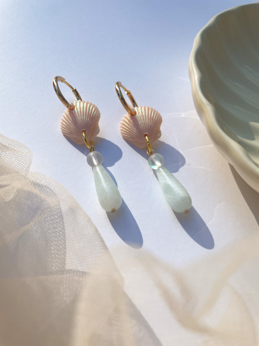 Seashells