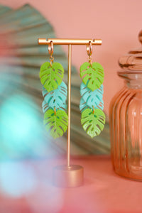 Monstera Dangles