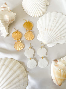Clam Shells