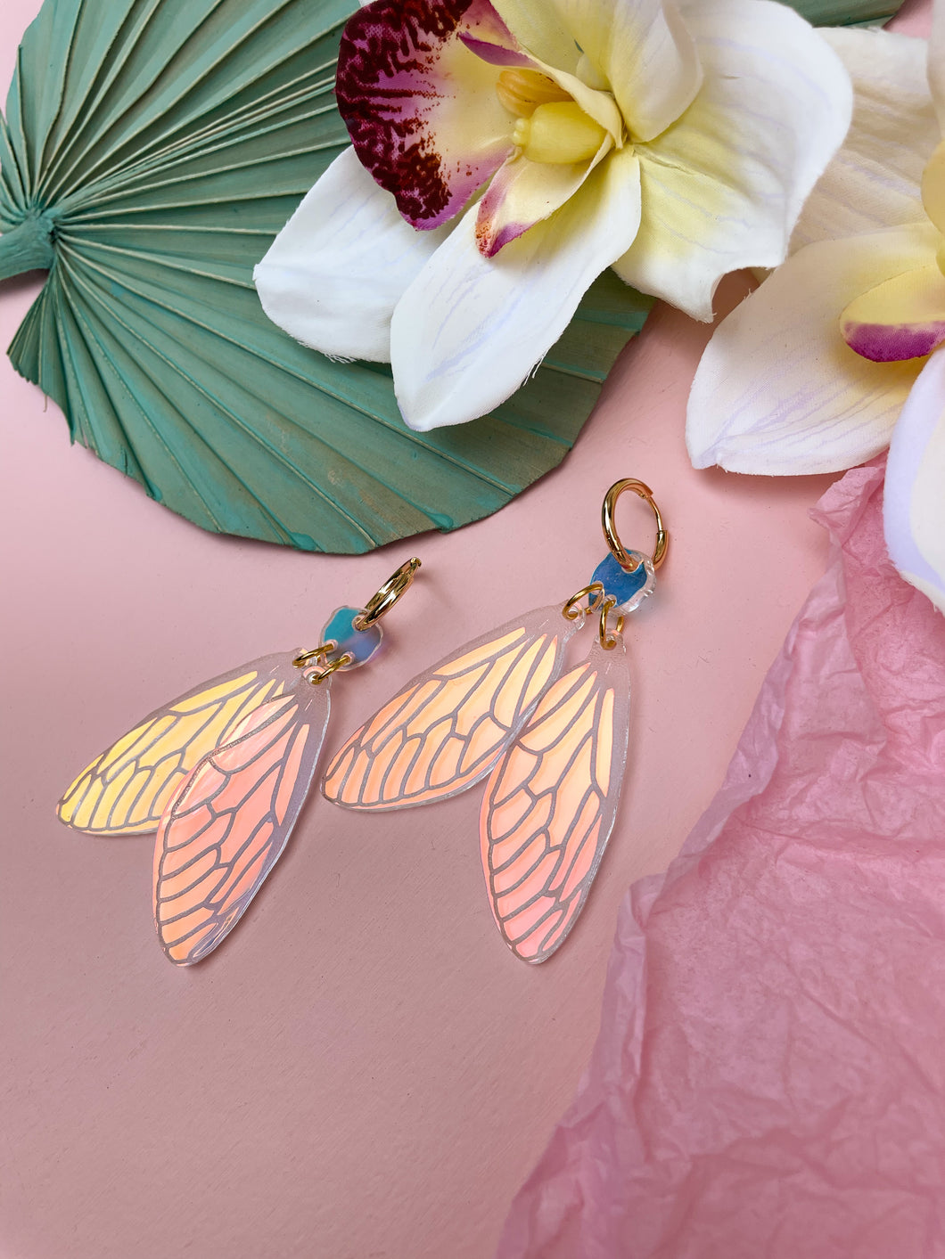 Cicadas